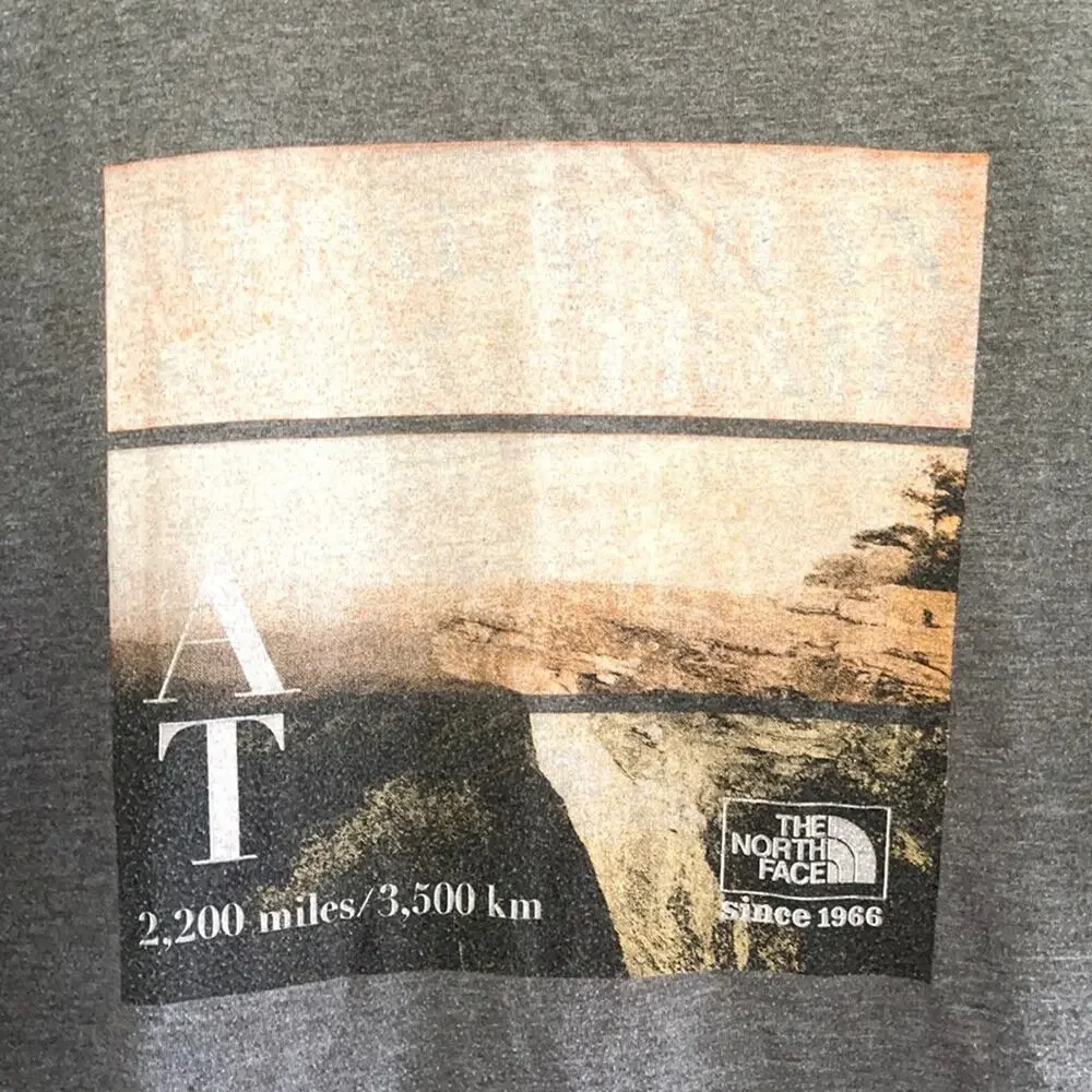 THE NORTH FACE mens short sleeves size XXL t-shirt gray